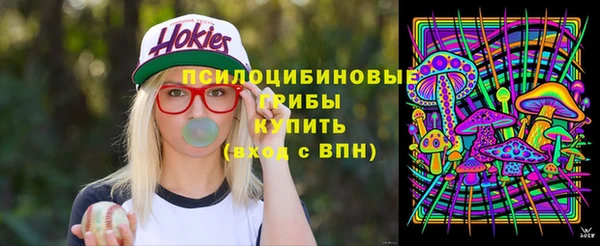гашик Абаза