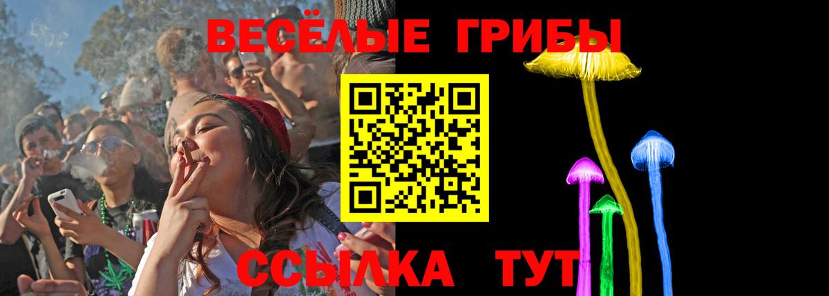 Псилоцибиновые грибы GOLDEN TEACHER Ханты-Мансийск